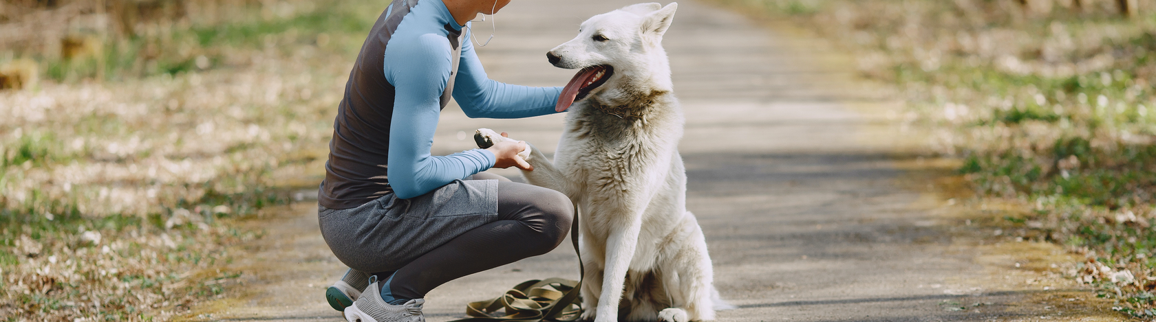Ana dog friend
