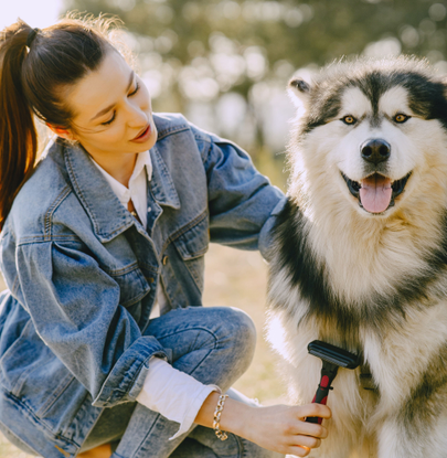 Ana dog friend